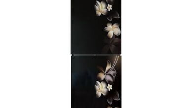 Jamuna Refrigerator 264 ltr Black Almond Price in Bangladesh
