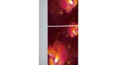 VSN GD Refrigerator RE-229L