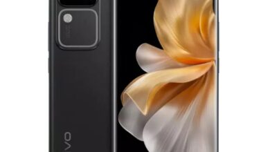 vivo v30 price